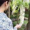 ☆着物でおでかけ☆風薫る初夏の奈良散歩2～萬葉植物園で藤鑑賞